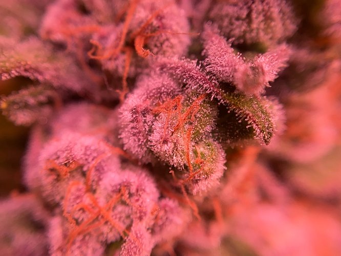 Growreport Bild 18