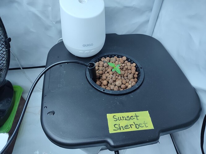 Growreport Bild 43