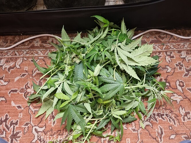 Growreport Bild 26