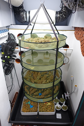 Growreport Bild 7