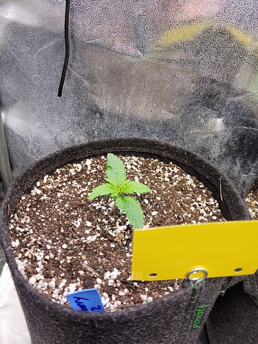 Growreport Bild 7