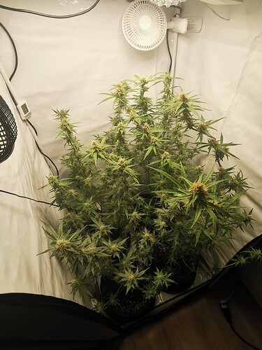 Growreport Bild 22
