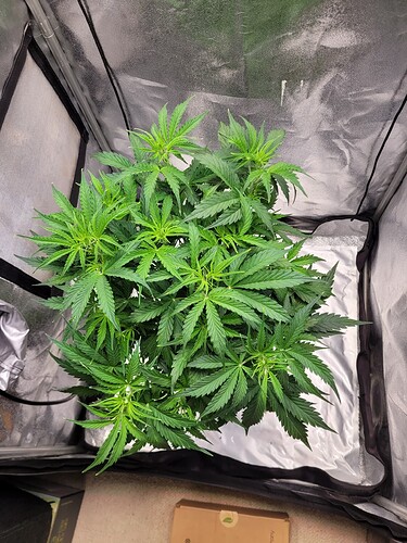 Growreport Bild 18
