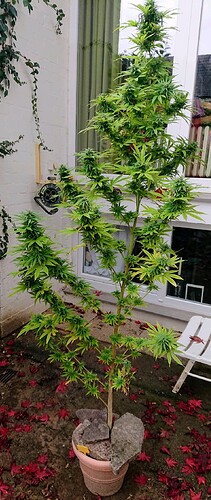 Growreport Bild 9