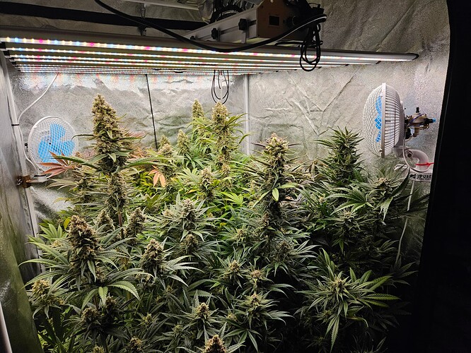 Growreport Bild 11
