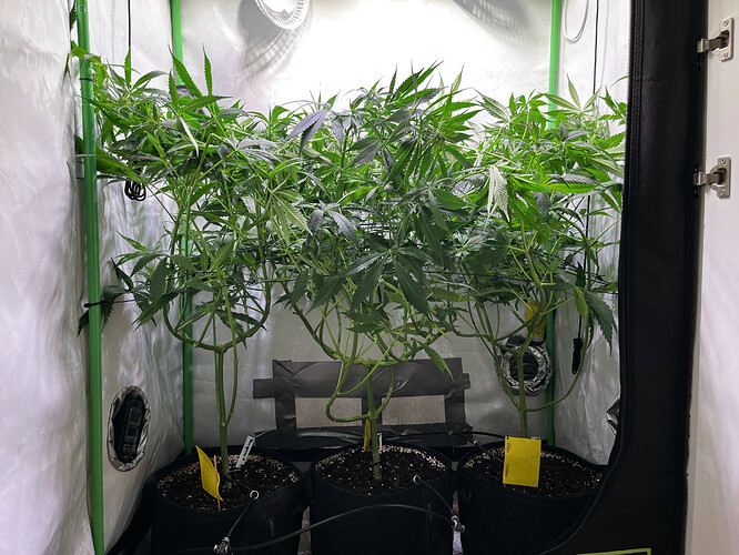 Growreport Bild 5