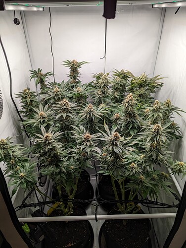 Growreport Bild 11