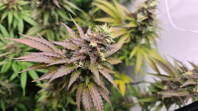 Growreport Bild 23