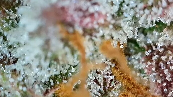 Growreport Bild 10