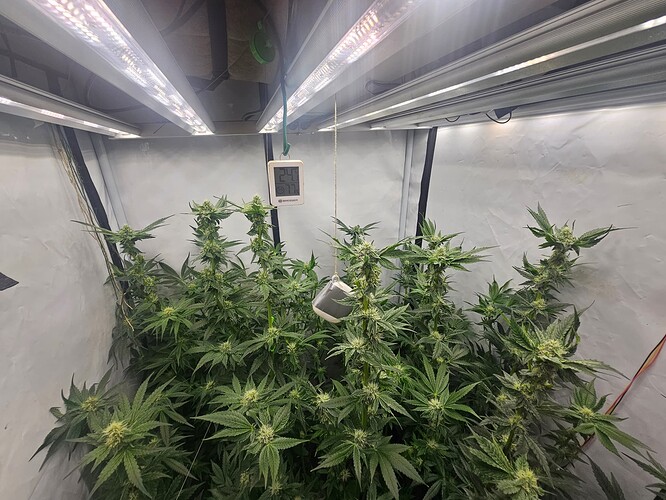 Growreport Bild 11