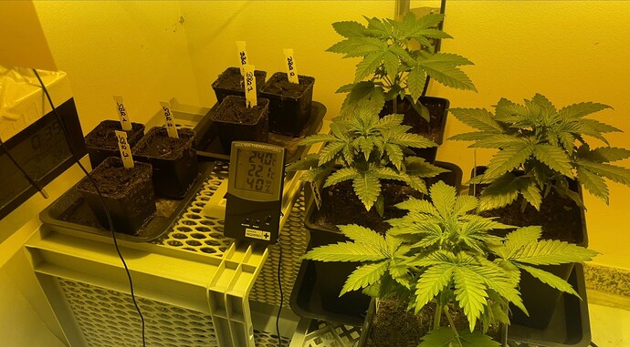 Growreport Bild 18