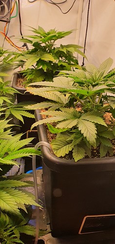 Growreport Bild 10