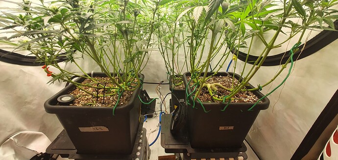 Growreport Bild 10