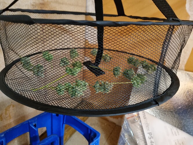 Growreport Bild 2