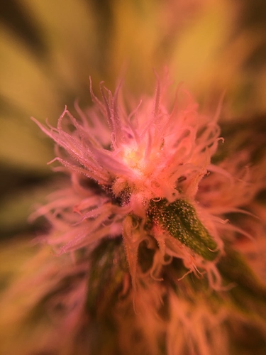Growreport Bild 21