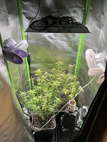 Growreport Bild 28