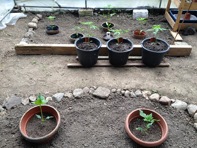 Growreport Bild 13