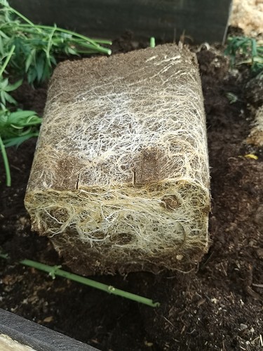 Growreport Bild 21