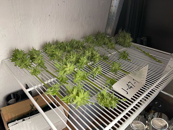 Growreport Bild 12