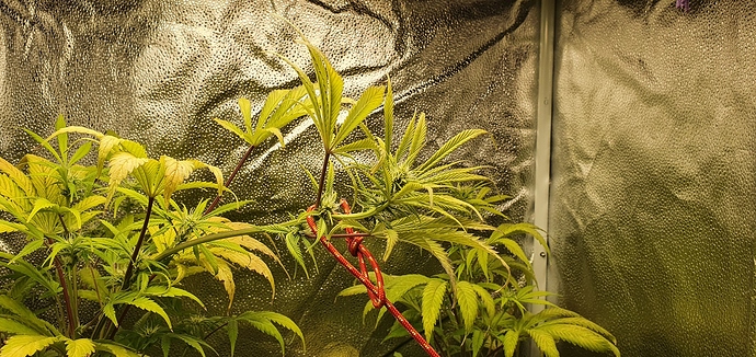 Growreport Bild 4