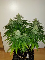 IMG_20210216_165600