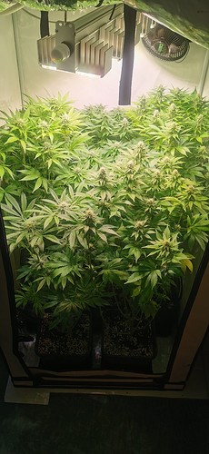 Growreport Bild 2