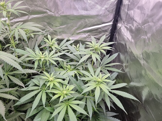 Growreport Bild 20