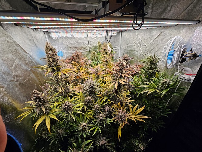 Growreport Bild 27