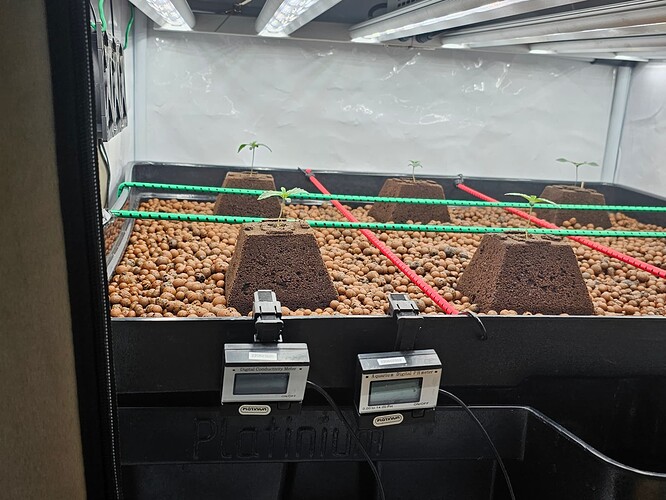 Growreport Bild 10