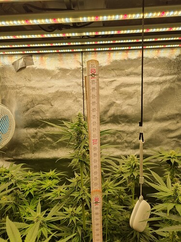 Growreport Bild 16