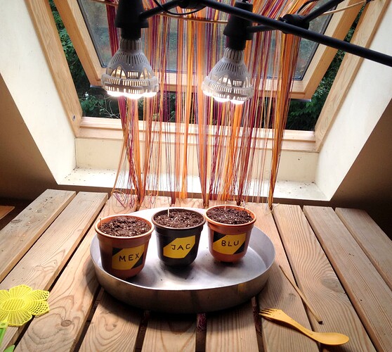 Growreport Bild 4