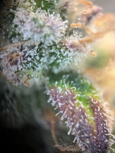 Growreport Bild 18
