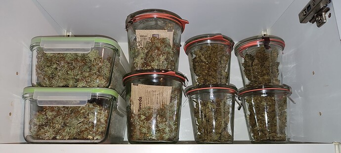 Growreport Bild 20