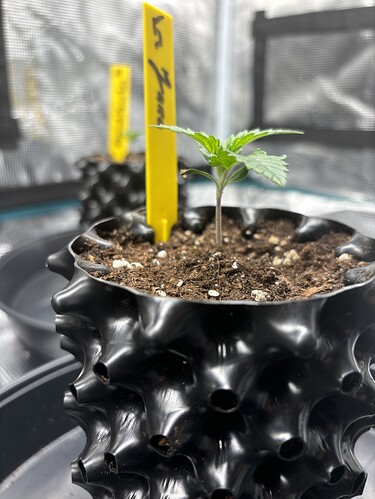 Growreport Bild 54