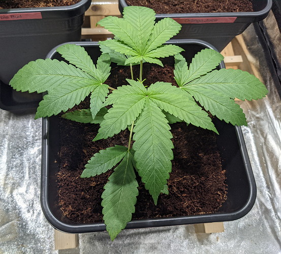 PXL_20210720_110946169 - Kopie