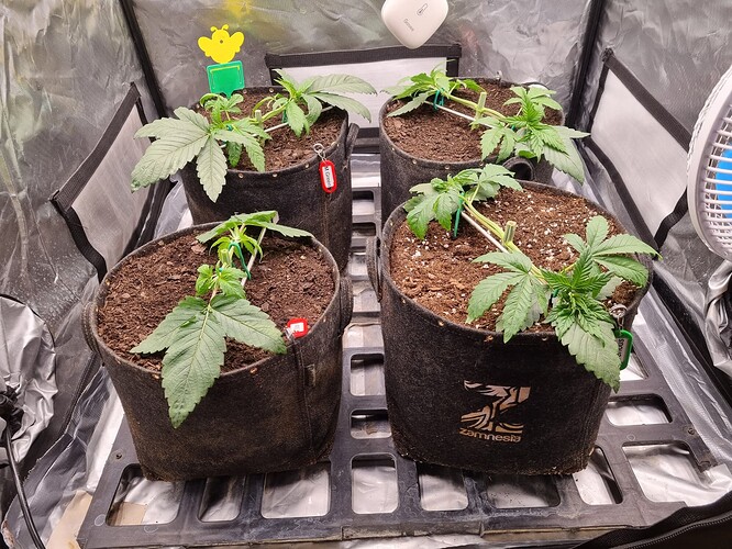 Growreport Bild 24