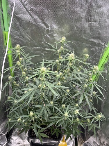Growreport Bild 21