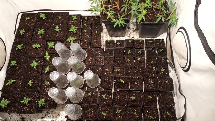 Growreport Bild 12