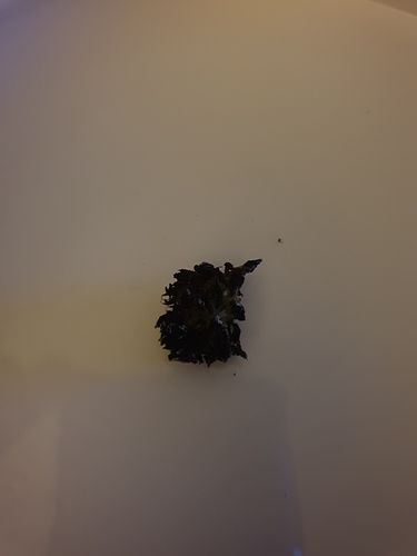 20191018_213737