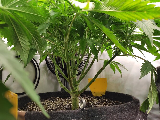 Growreport Bild 13