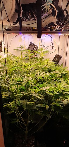 Growreport Bild 4