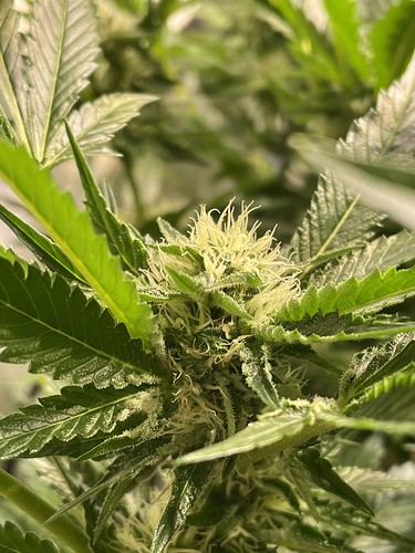 Growreport Bild 17