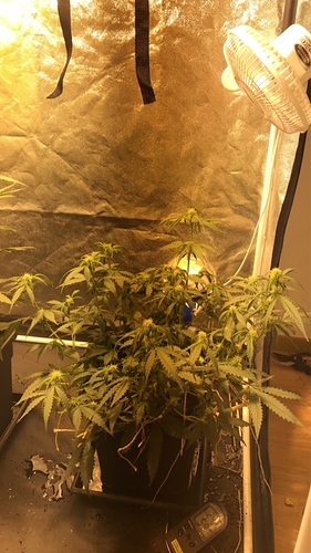 Growreport Bild 2
