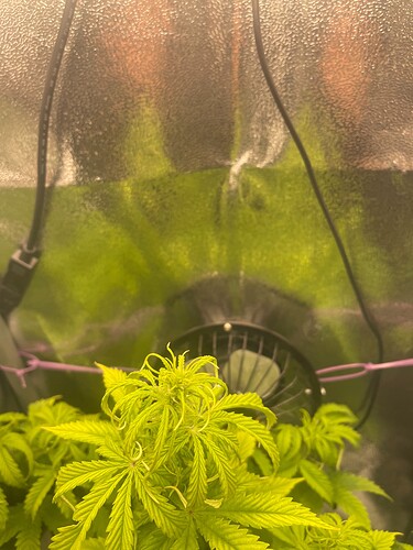 Growreport Bild 20