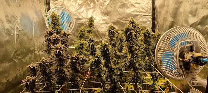 Growreport Bild 18