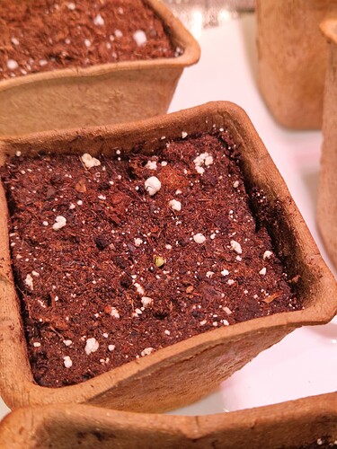 Growreport Bild 1