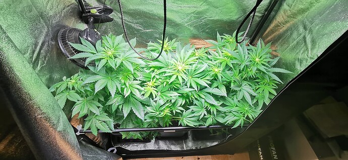 Growreport Bild 8