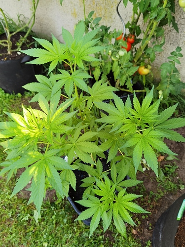 Growreport Bild 12