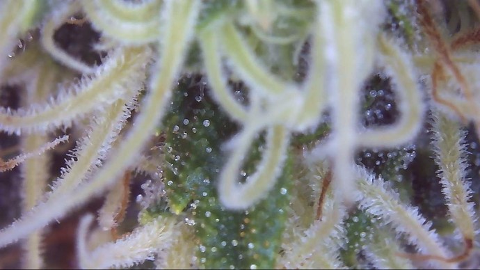 Growreport Bild 18