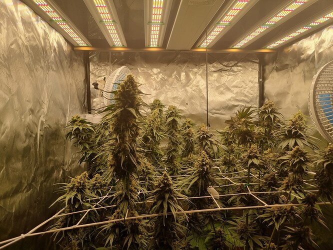 Growreport Bild 18